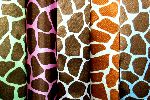 Silky Satin Giraffe